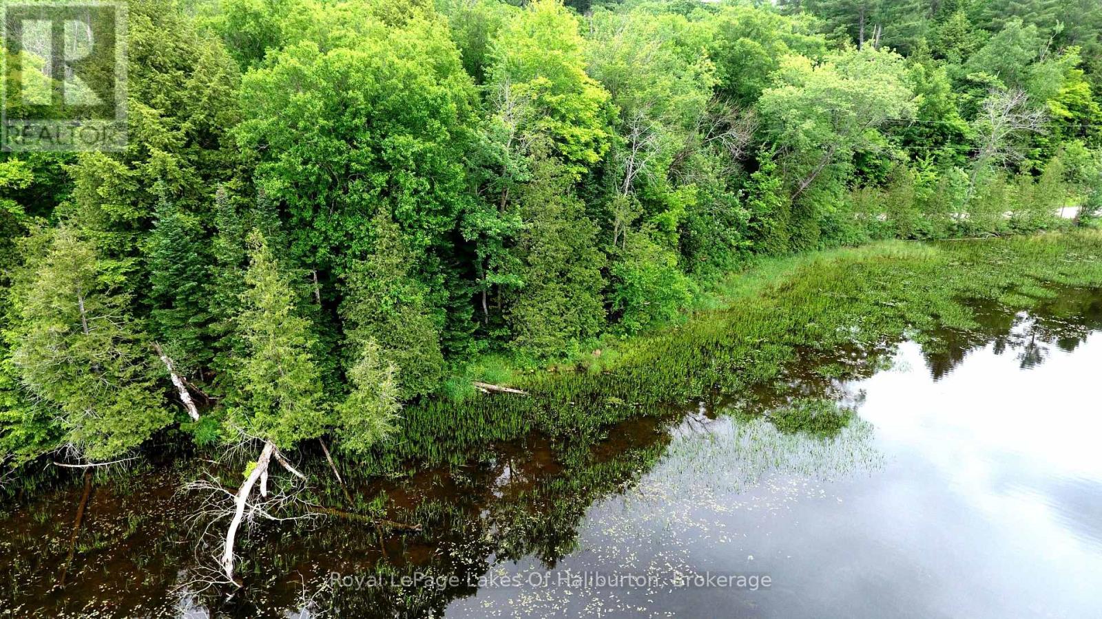 0 South Beaver Lake Lane, Minden Hills, Ontario  K0M 2L1 - Photo 9 - X12158946