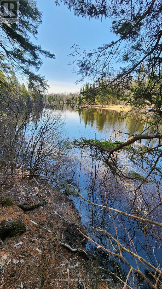 00 Red Pine Trail, Bracebridge, Ontario  P0B 1L0 - Photo 1 - X12159878
