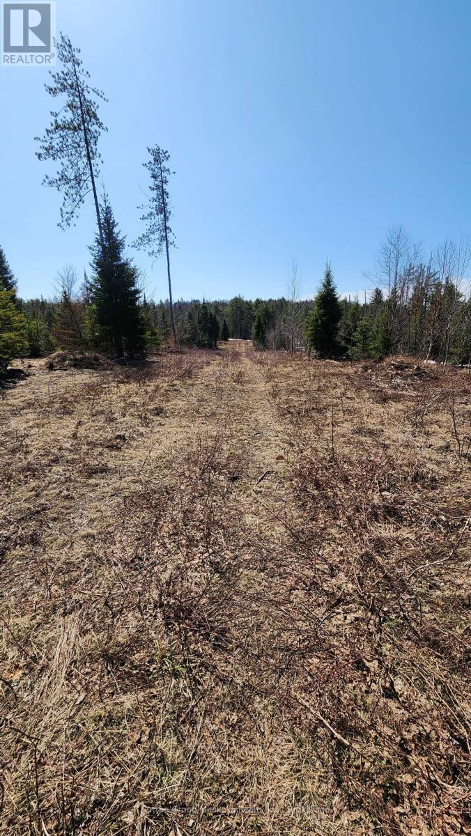 00 Red Pine Trail, Bracebridge, Ontario  P0B 1L0 - Photo 10 - X12159878