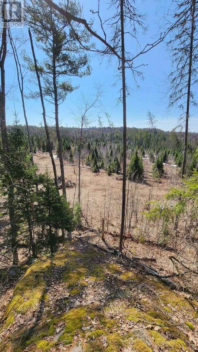 00 Red Pine Trail, Bracebridge, Ontario  P0B 1L0 - Photo 11 - X12159878