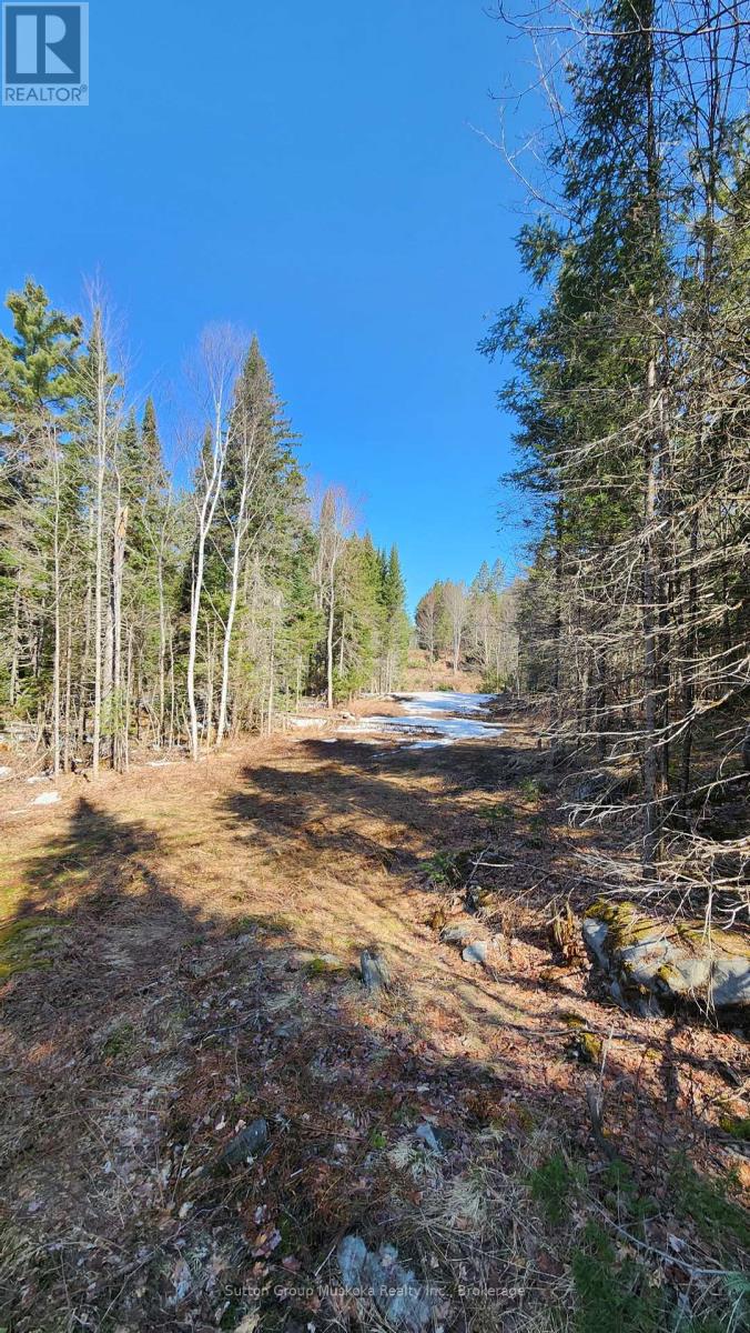 00 Red Pine Trail, Bracebridge, Ontario  P0B 1L0 - Photo 2 - X12159878