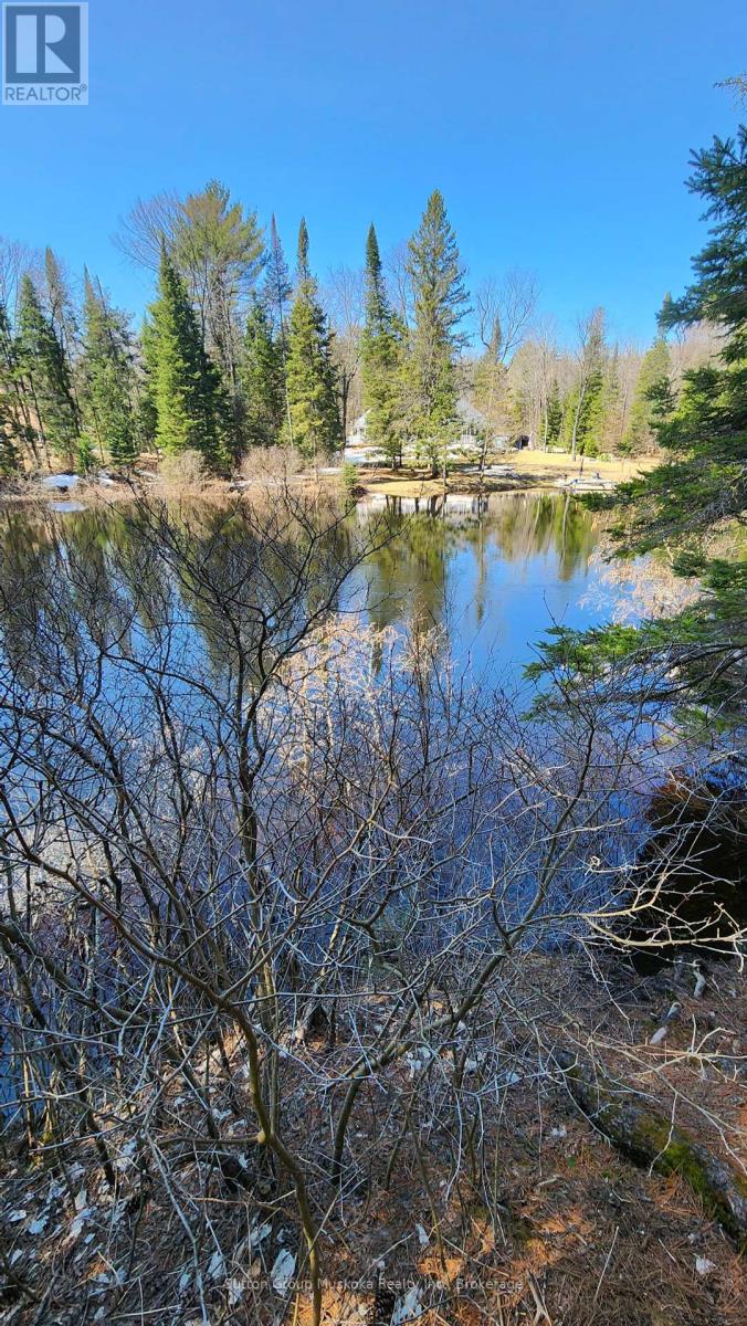00 Red Pine Trail, Bracebridge, Ontario  P0B 1L0 - Photo 3 - X12159878