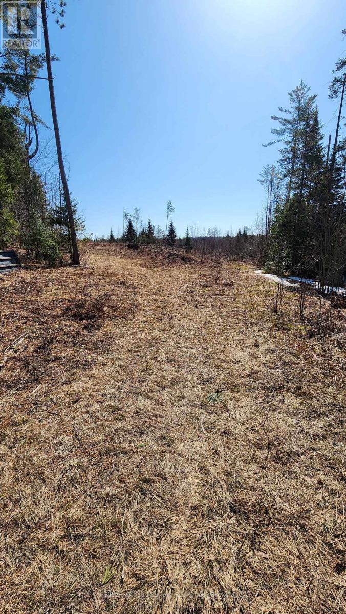 00 Red Pine Trail, Bracebridge, Ontario  P0B 1L0 - Photo 8 - X12159878
