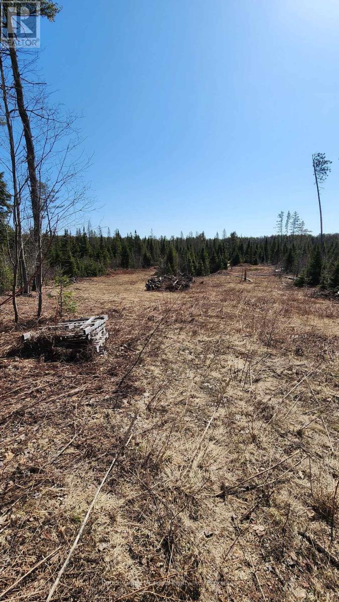 00 Red Pine Trail, Bracebridge, Ontario  P0B 1L0 - Photo 9 - X12159878