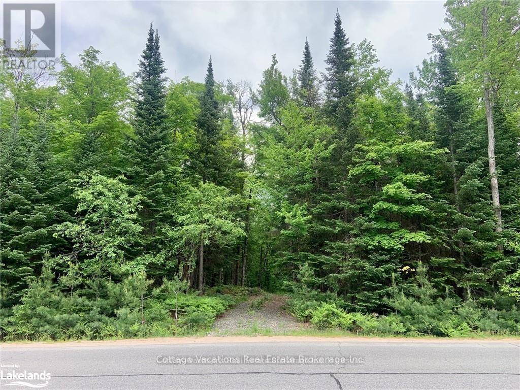 149 Deerfoot Trail, Huntsville, Ontario  P1H 0A8 - Photo 14 - X12160084