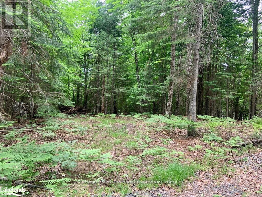149 Deerfoot Trail, Huntsville, Ontario  P1H 0A8 - Photo 3 - X12160084