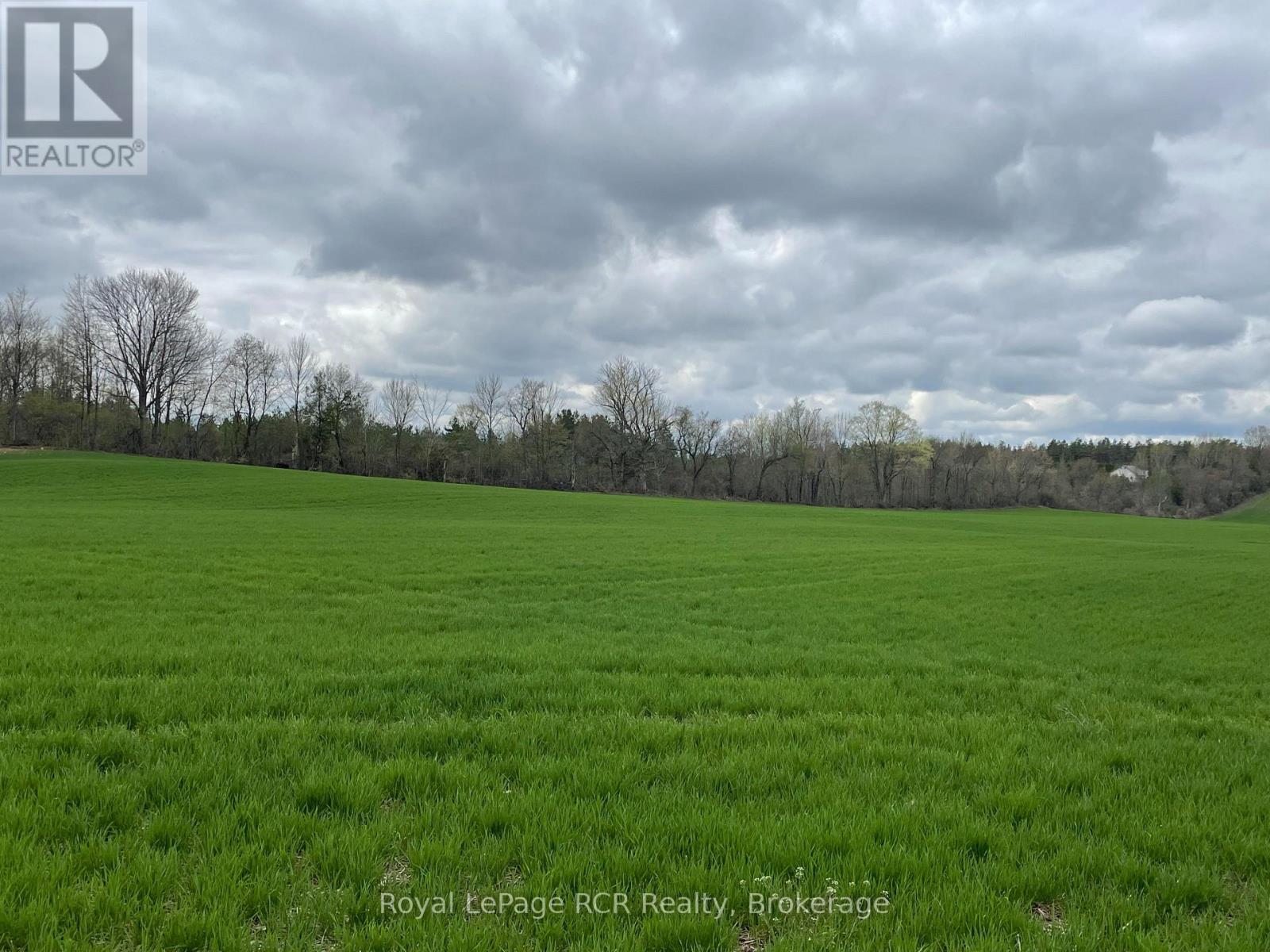 393596 Concession 2, West Grey, Ontario  N0G 1R0 - Photo 3 - X12160098