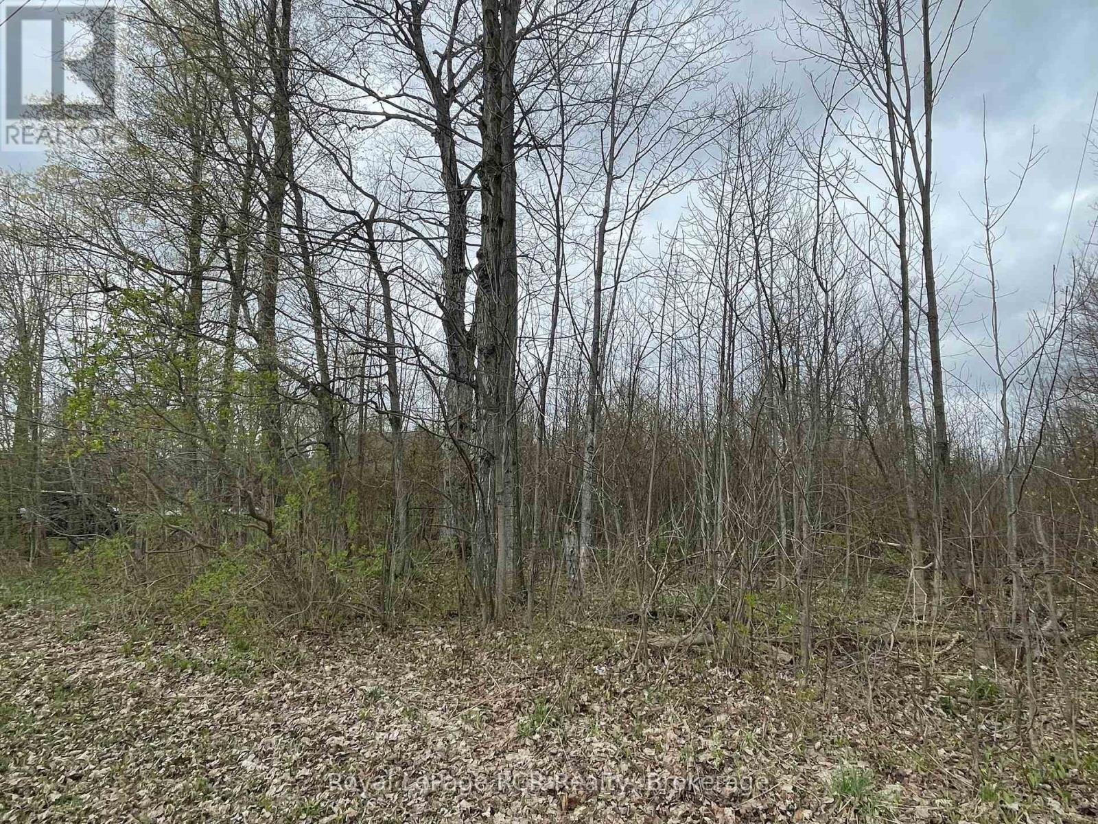 393596 Concession 2, West Grey, Ontario  N0G 1R0 - Photo 7 - X12160098