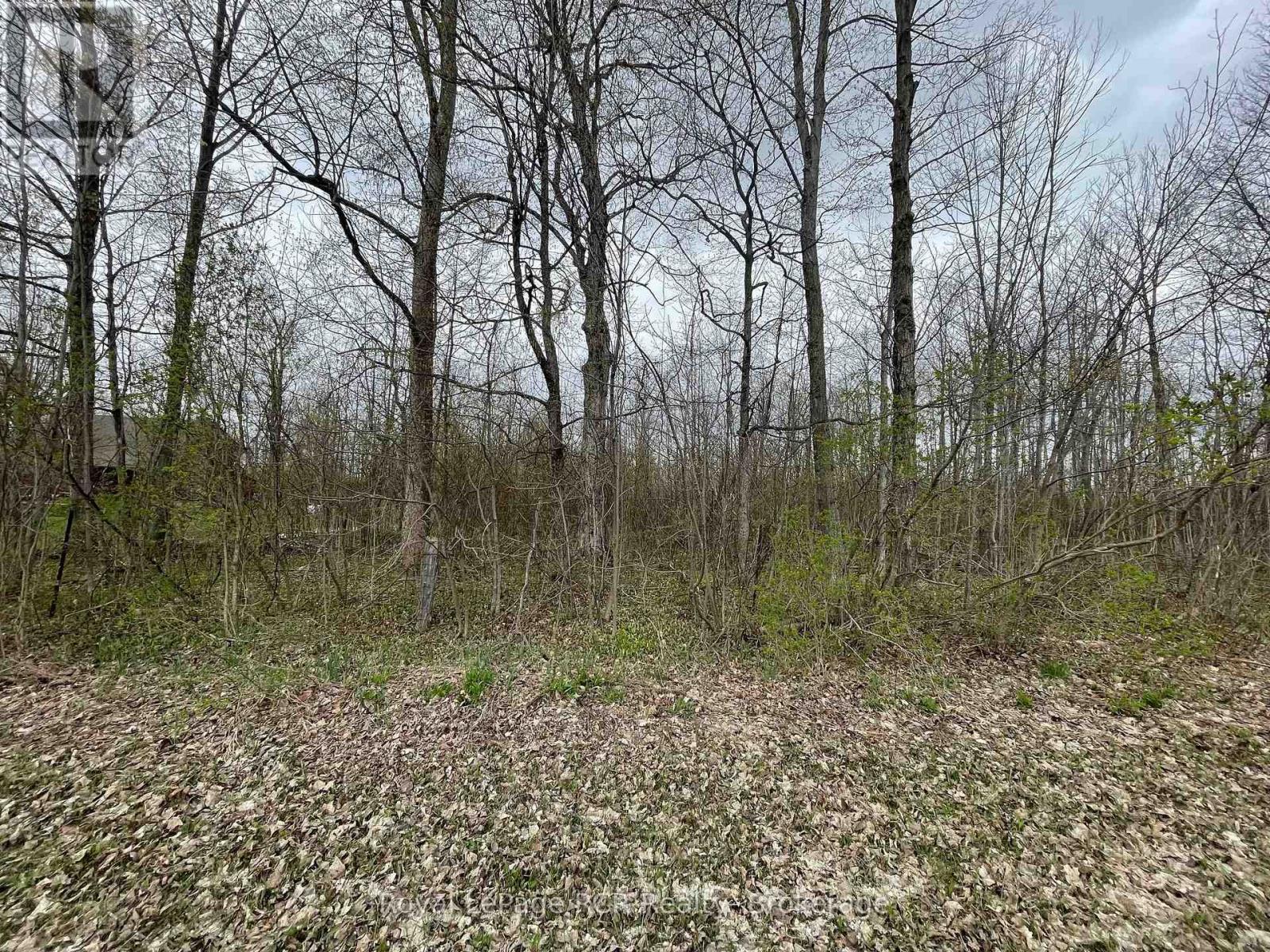 393596 Concession 2, West Grey, Ontario  N0G 1R0 - Photo 8 - X12160098