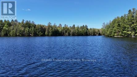 1132 Sapphire (Koshlong Lake) Drive, Highlands East, Ontario  K0M 1S0 - Photo 17 - X12163800