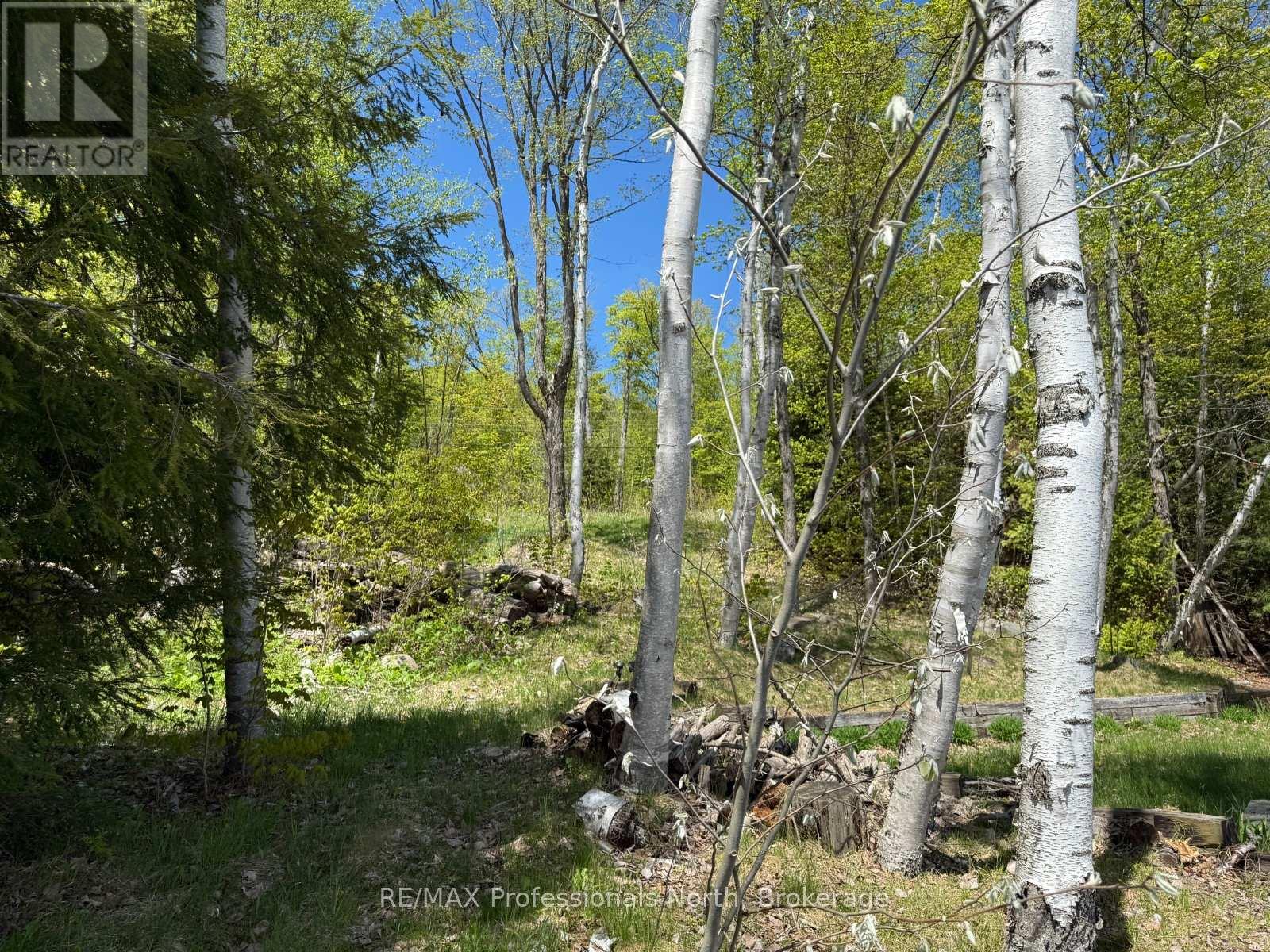 2612 Wilkinson Road, Dysart Et Al, Ontario  K0M 1S0 - Photo 10 - X12164739