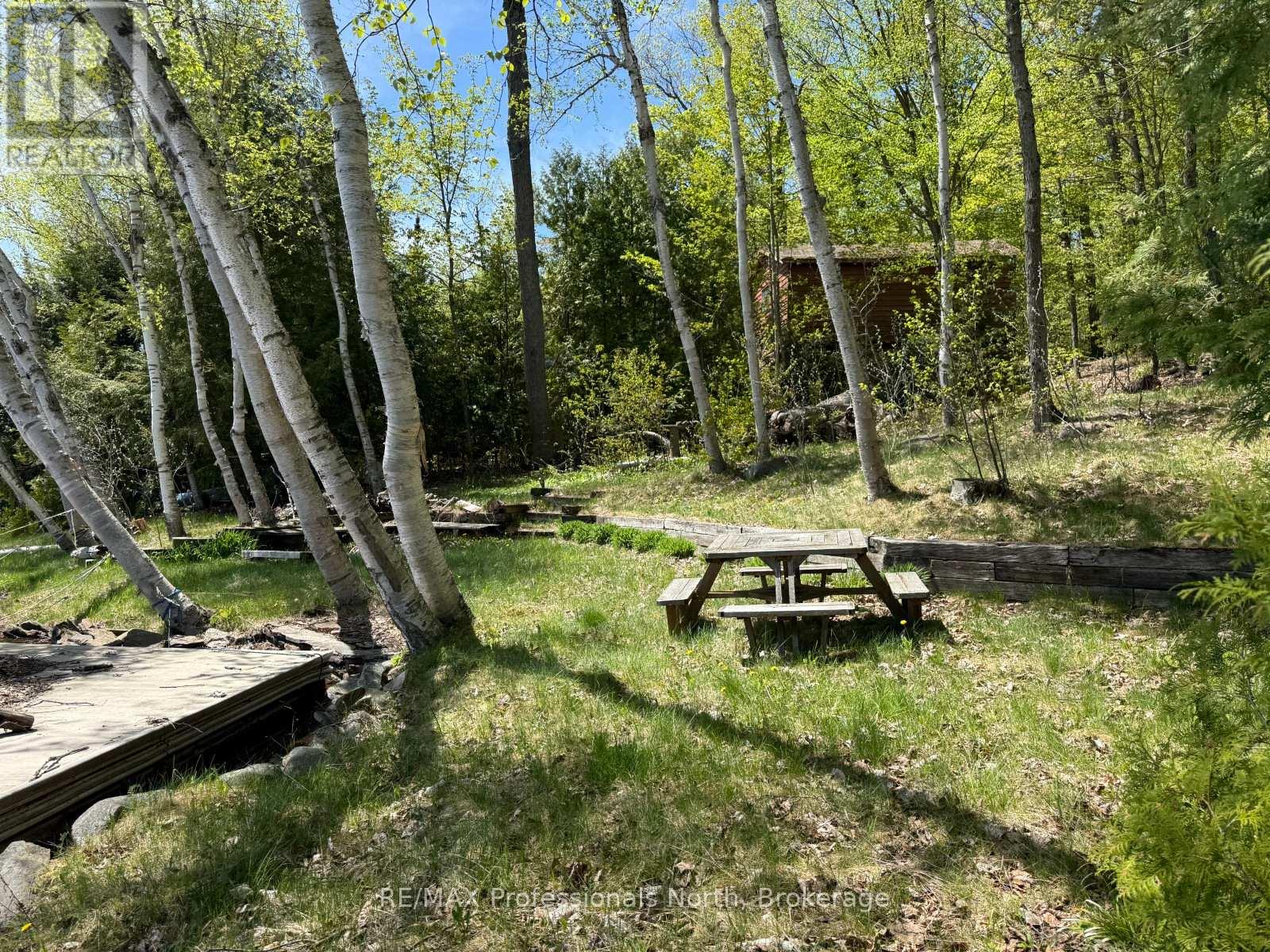 2612 Wilkinson Road, Dysart Et Al, Ontario  K0M 1S0 - Photo 11 - X12164739
