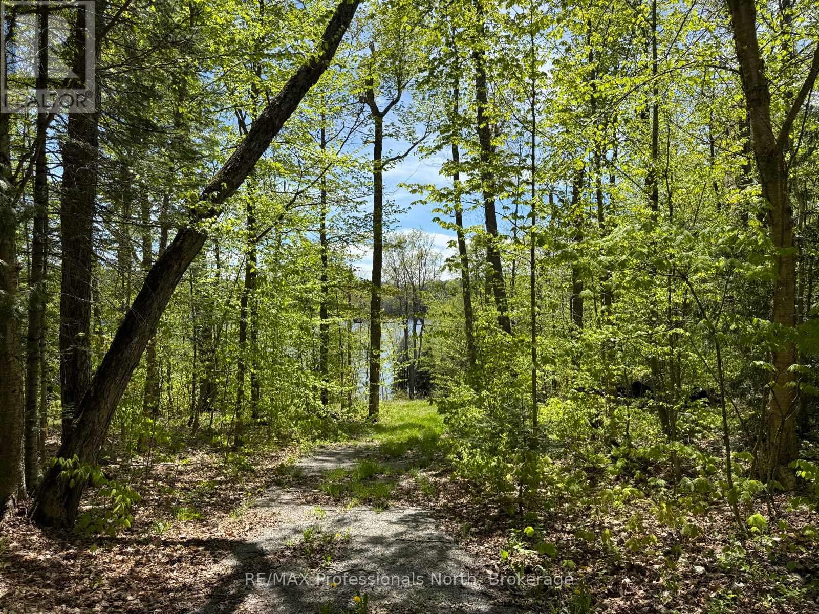 2612 Wilkinson Road, Dysart Et Al, Ontario  K0M 1S0 - Photo 2 - X12164739