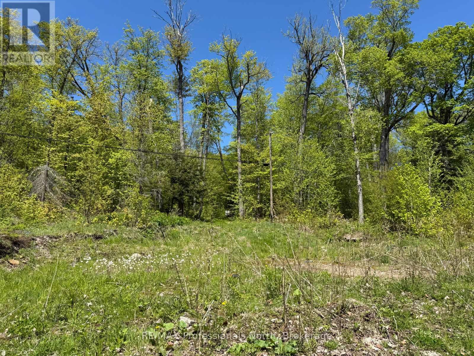 2612 Wilkinson Road, Dysart Et Al, Ontario  K0M 1S0 - Photo 4 - X12164739