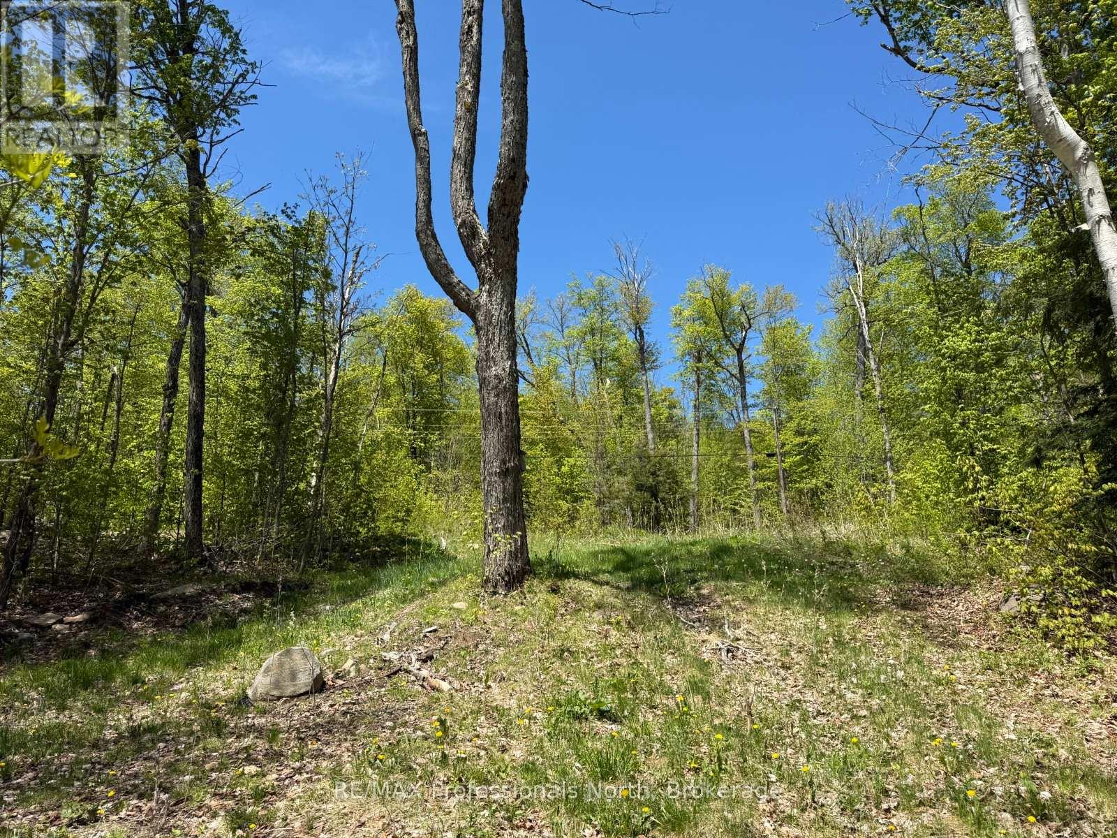 2612 Wilkinson Road, Dysart Et Al, Ontario  K0M 1S0 - Photo 6 - X12164739
