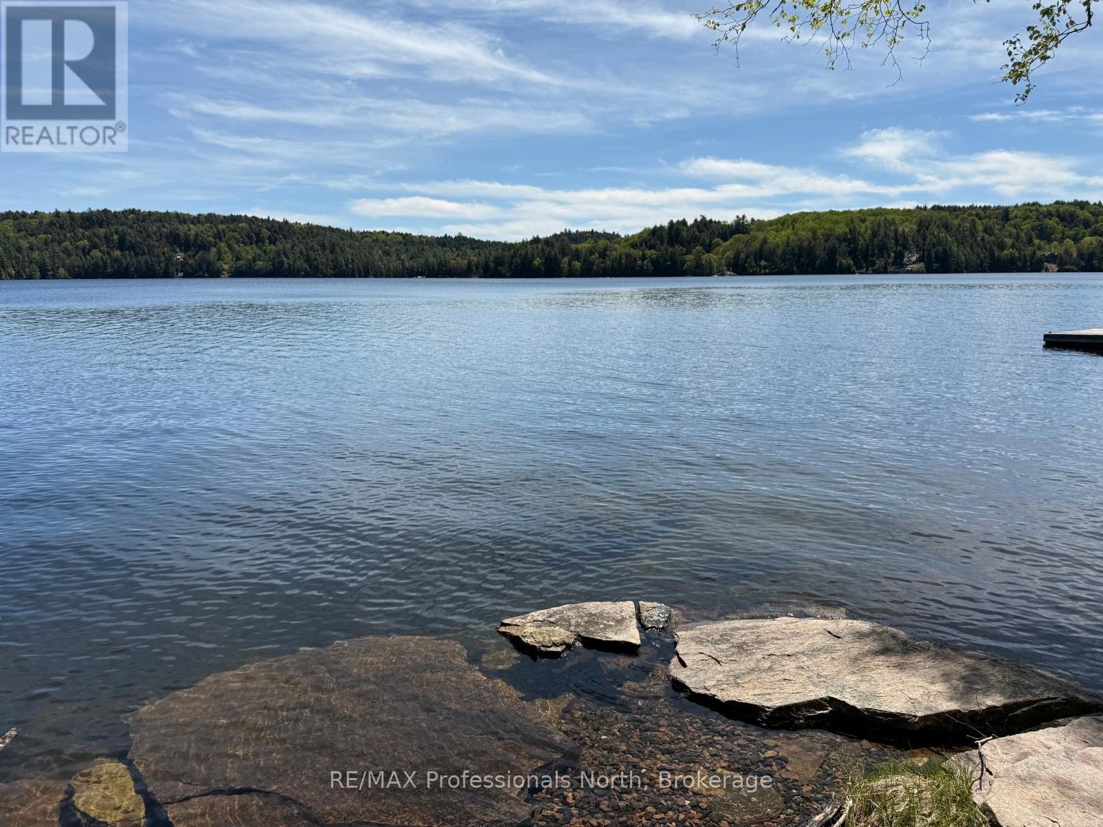 2612 Wilkinson Road, Dysart Et Al, Ontario  K0M 1S0 - Photo 7 - X12164739