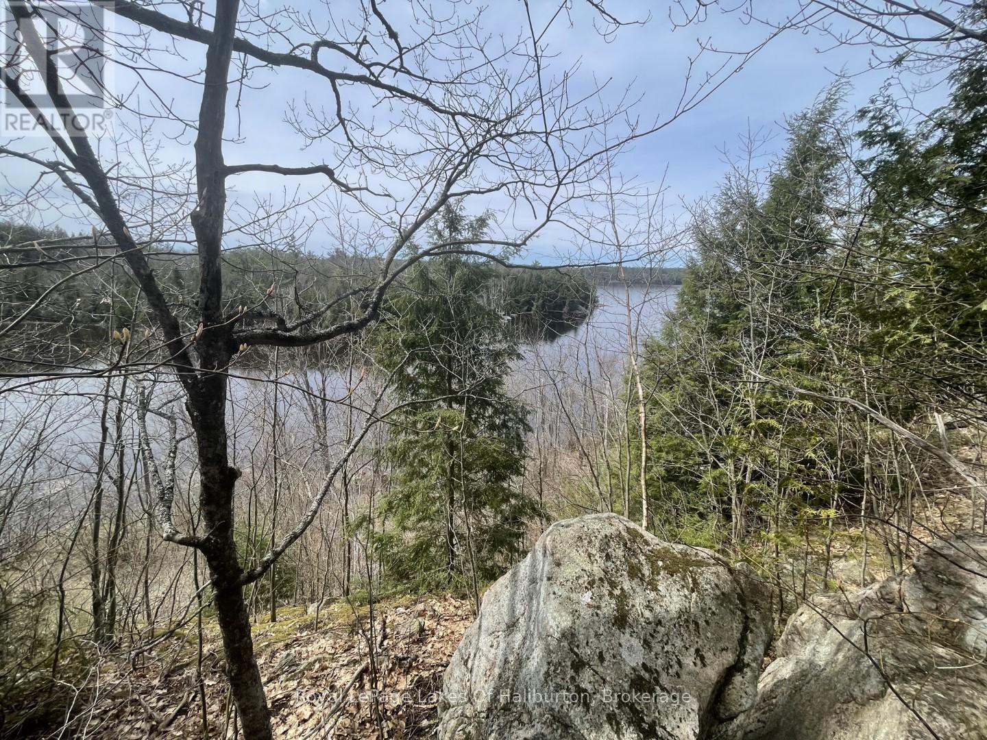 0 Starlight Road, Minden Hills, Ontario  K0M 2K0 - Photo 12 - X12165580