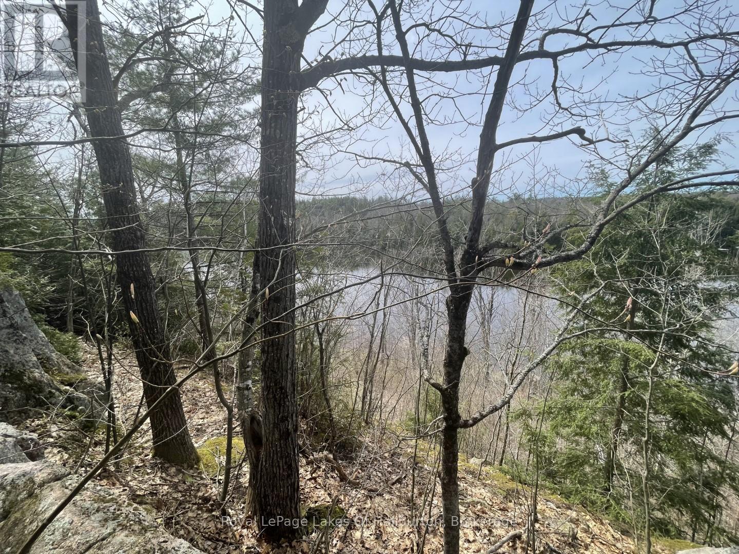 0 Starlight Road, Minden Hills, Ontario  K0M 2K0 - Photo 14 - X12165580