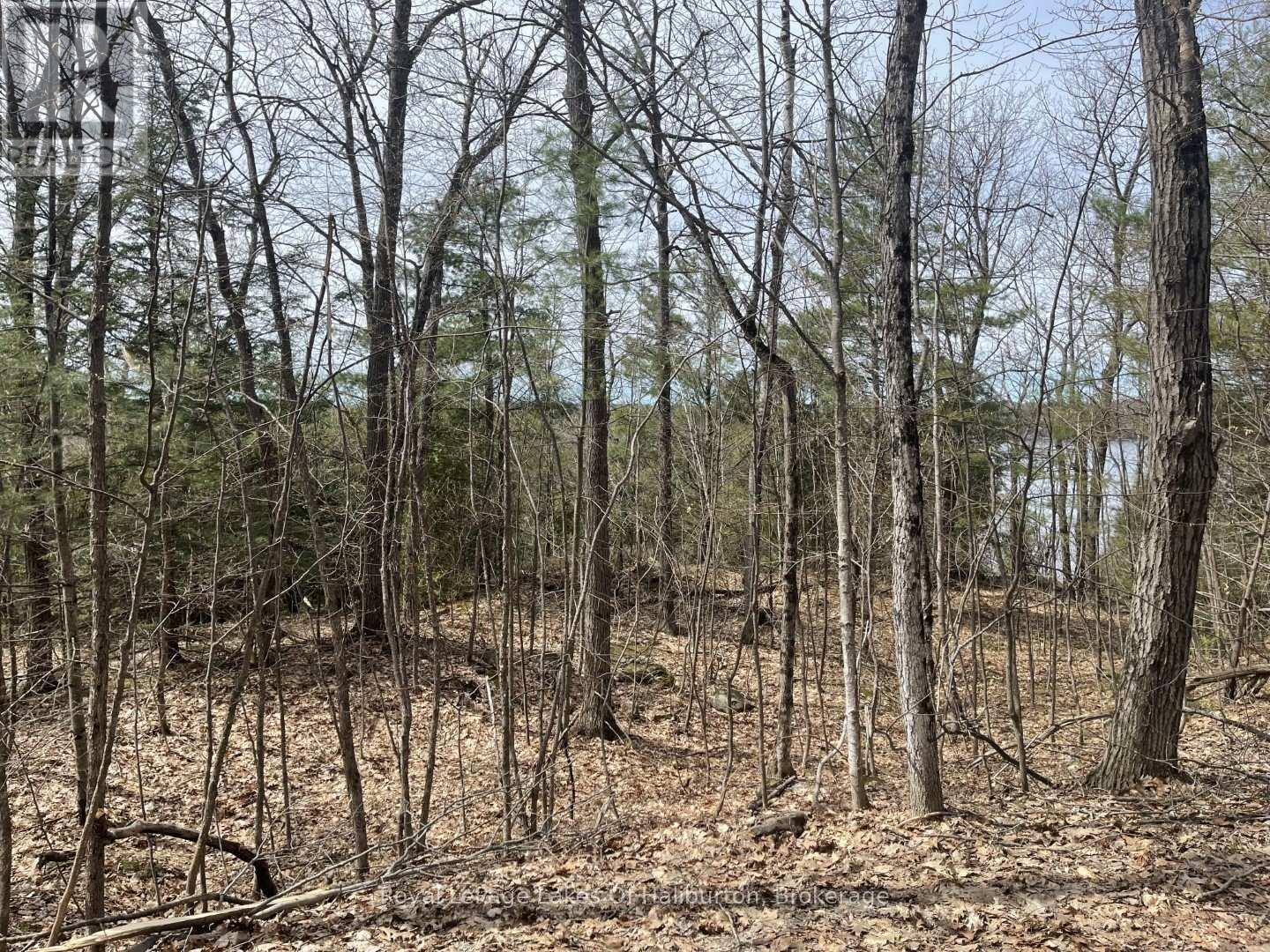 0 Starlight Road, Minden Hills, Ontario  K0M 2K0 - Photo 17 - X12165580