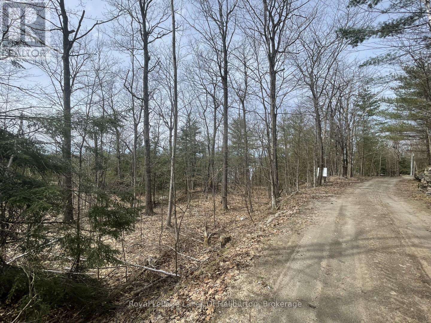 0 Starlight Road, Minden Hills, Ontario  K0M 2K0 - Photo 20 - X12165580