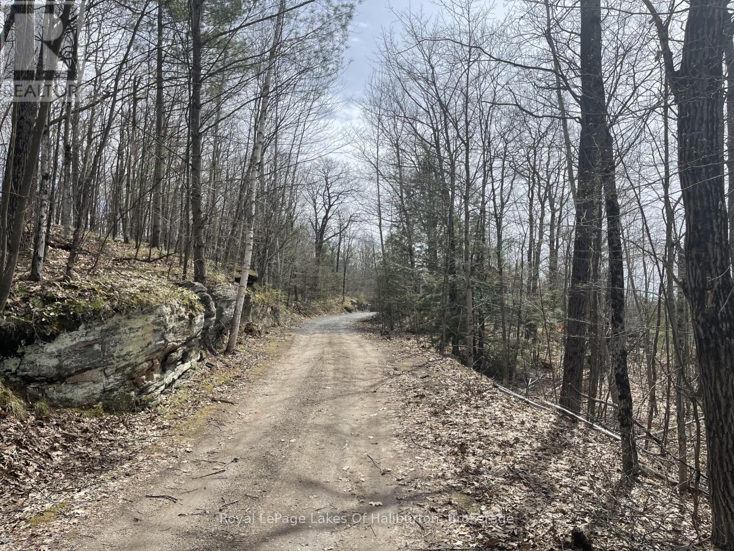 0 Starlight Road, Minden Hills, Ontario  K0M 2K0 - Photo 22 - X12165580