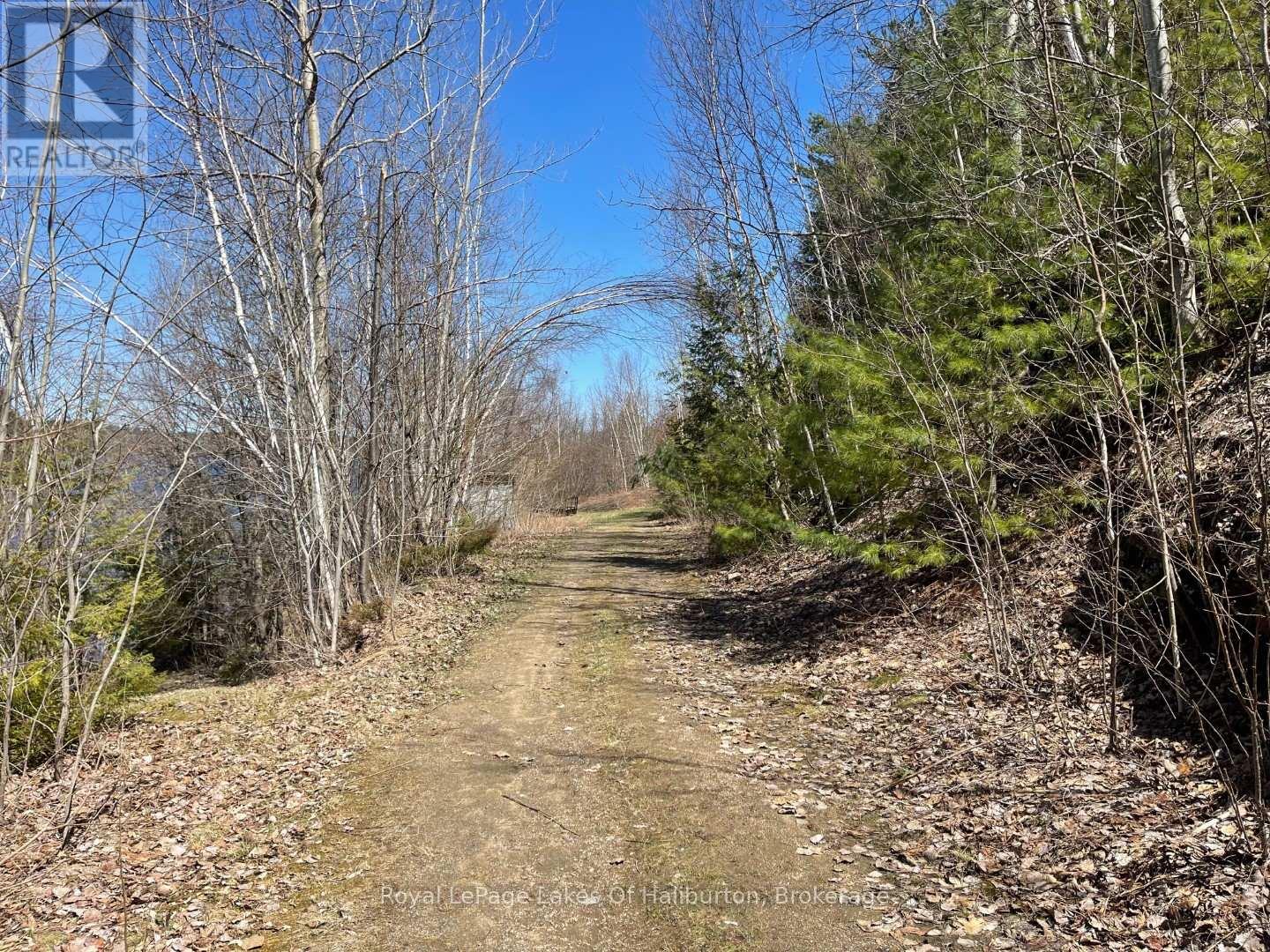 0 Starlight Road, Minden Hills, Ontario  K0M 2K0 - Photo 23 - X12165580