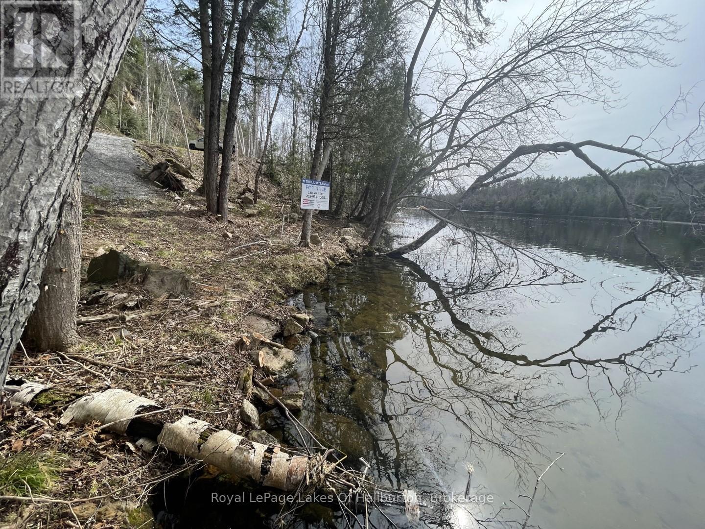 0 Starlight Road, Minden Hills, Ontario  K0M 2K0 - Photo 5 - X12165580