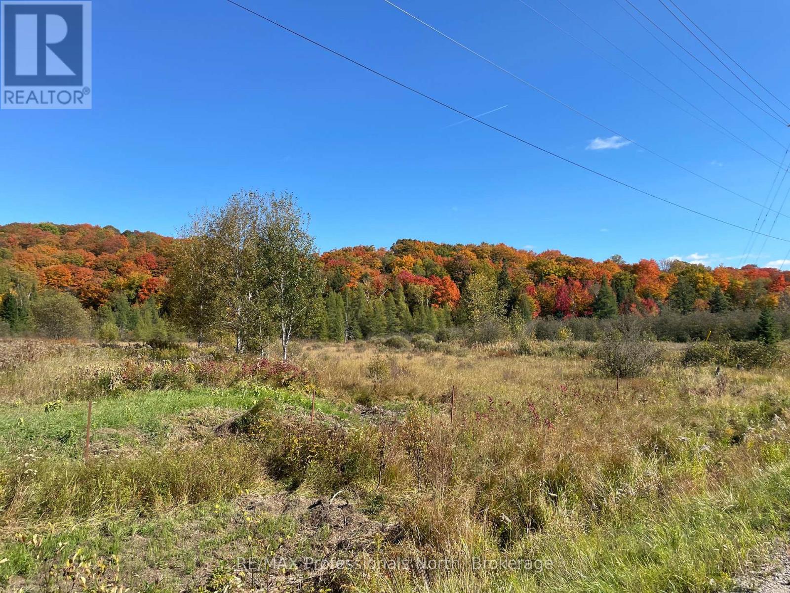 Part 2 Highway 118, Highlands East, Ontario  K0L 2Y0 - Photo 12 - X12166359