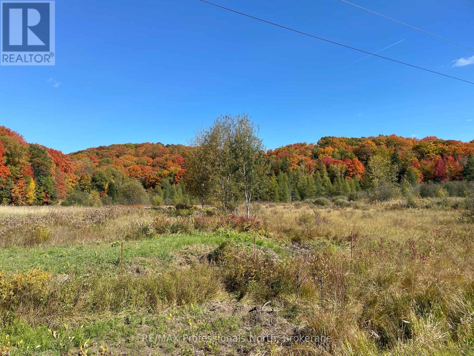 Part 2 Highway 118, Highlands East, Ontario  K0L 2Y0 - Photo 14 - X12166359