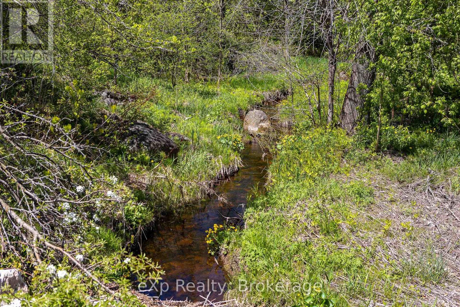 58111 12th Line, Meaford, Ontario  N4L 1W5 - Photo 39 - X12166778