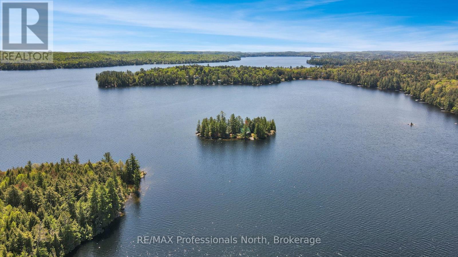 1004 Lipton Drive, Dysart Et Al, Ontario  K0M 1S0 - Photo 5 - X12167089