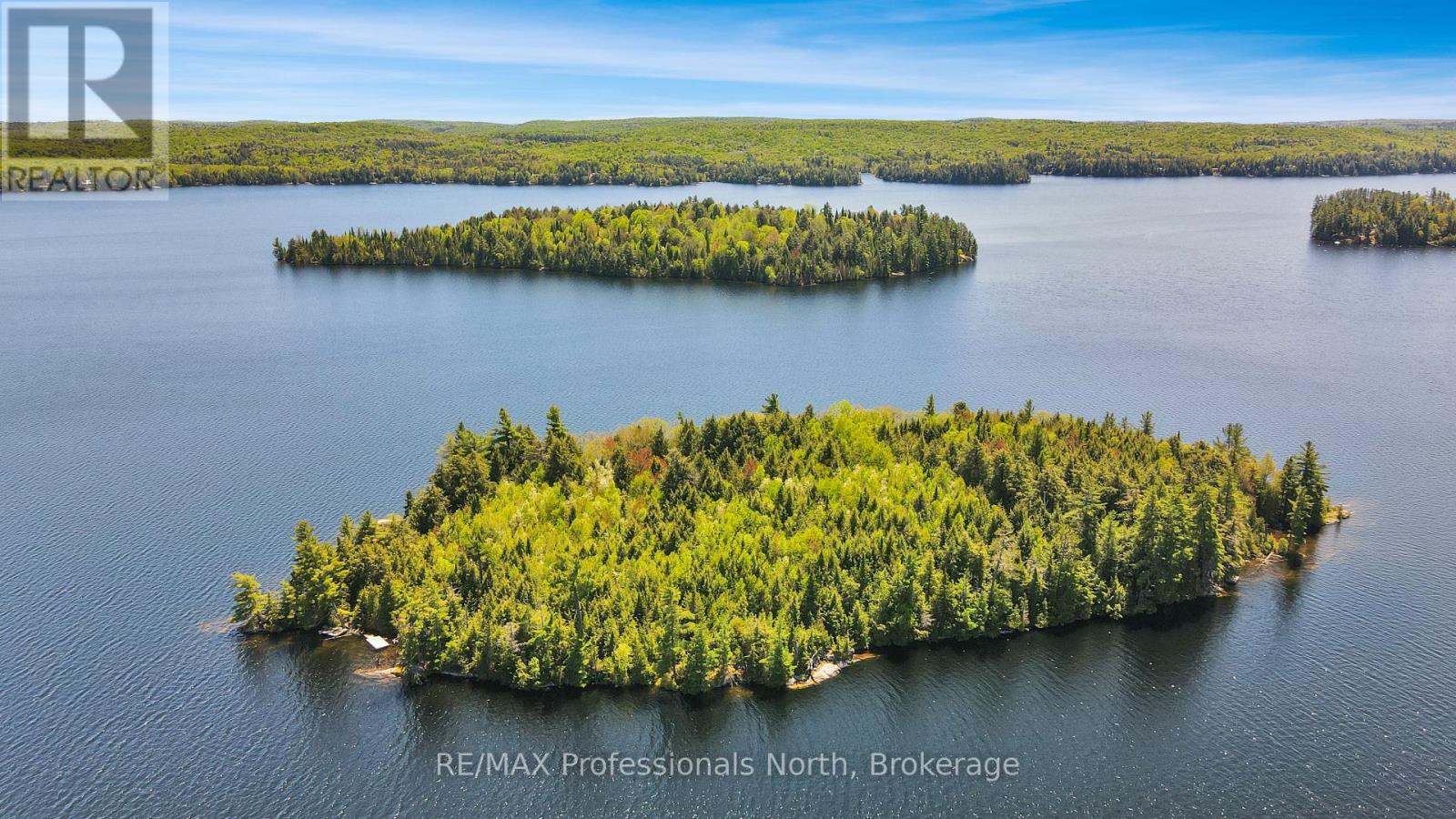 1004 Lipton Drive, Dysart Et Al, Ontario  K0M 1S0 - Photo 6 - X12167089