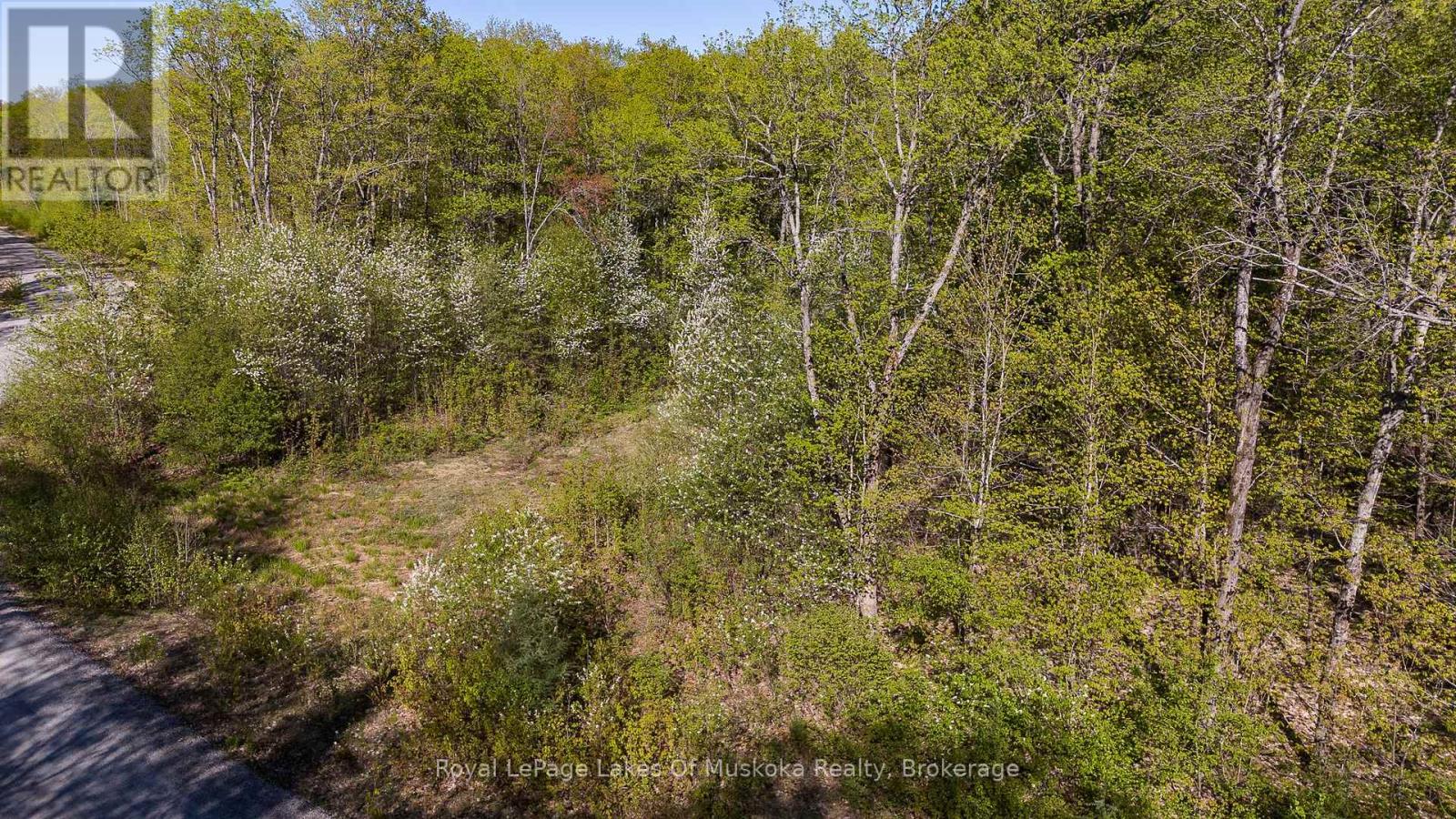 Lot 2 Riverside Drive, Kearney, Ontario  P0A 1M0 - Photo 12 - X12167162