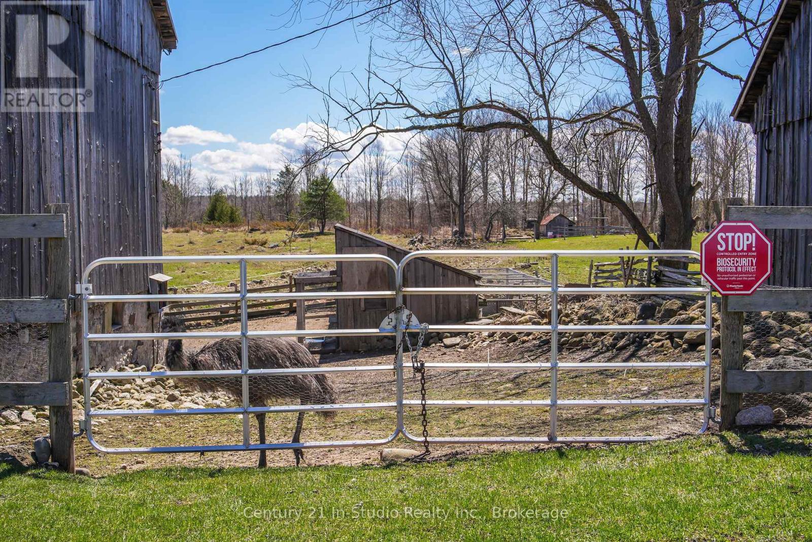 315421 Highway 6 Highway, Chatsworth, Ontario  N0H 2V0 - Photo 8 - X12167404