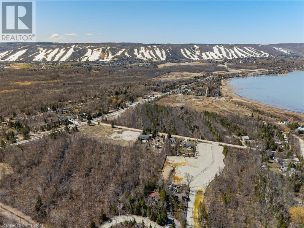 178 Brophy's Lane, The Blue Mountains, Ontario  L9Y 0K3 - Photo 42 - 40731241