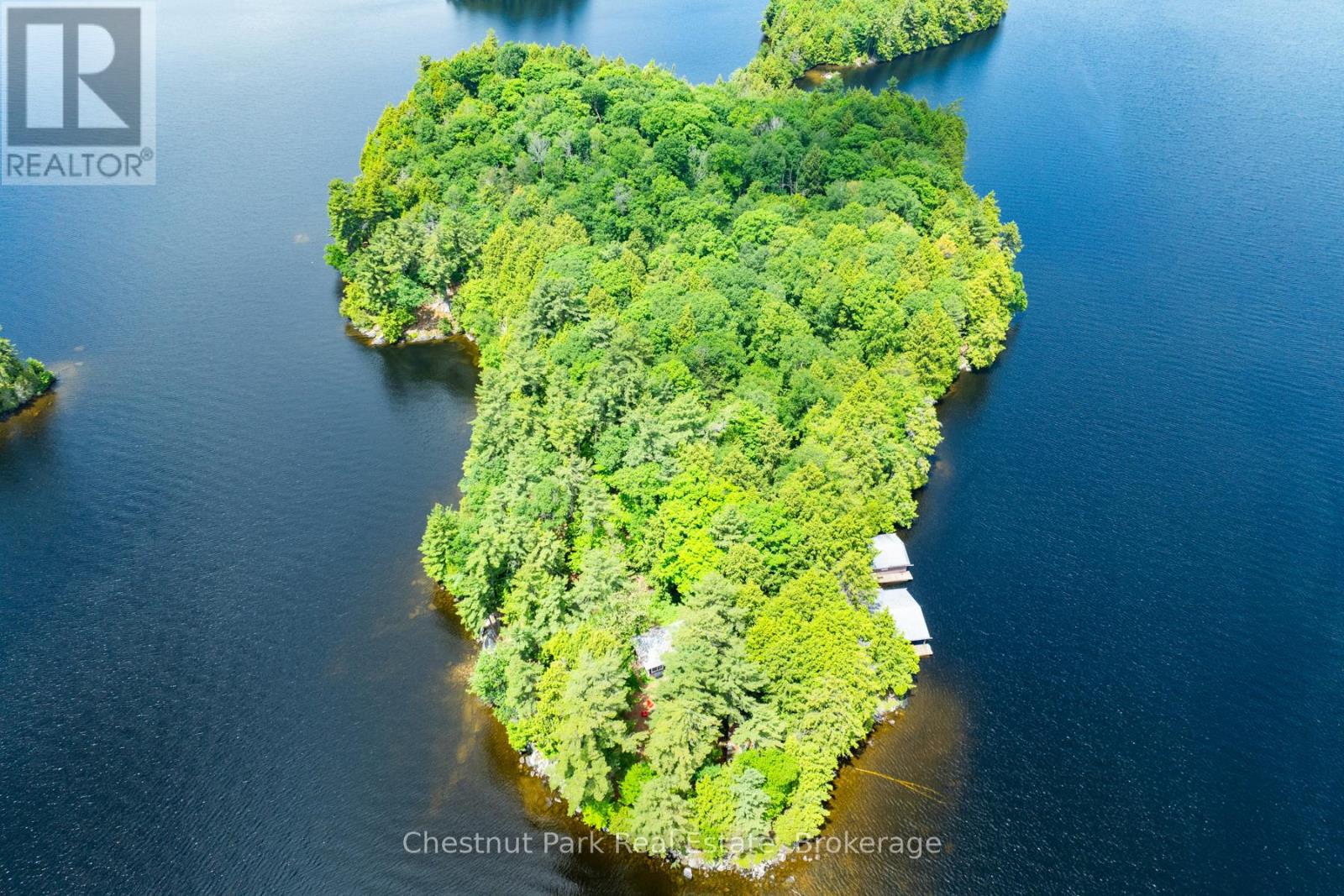 Lots 1, 5 & 6 - 2 Island M2 Island, Muskoka Lakes, Ontario  P0B 1J0 - Photo 22 - X12168508