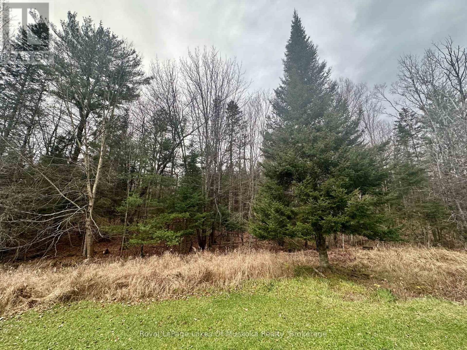 112 510 Highway, Magnetawan, Ontario  P0A 1P0 - Photo 22 - X12169339