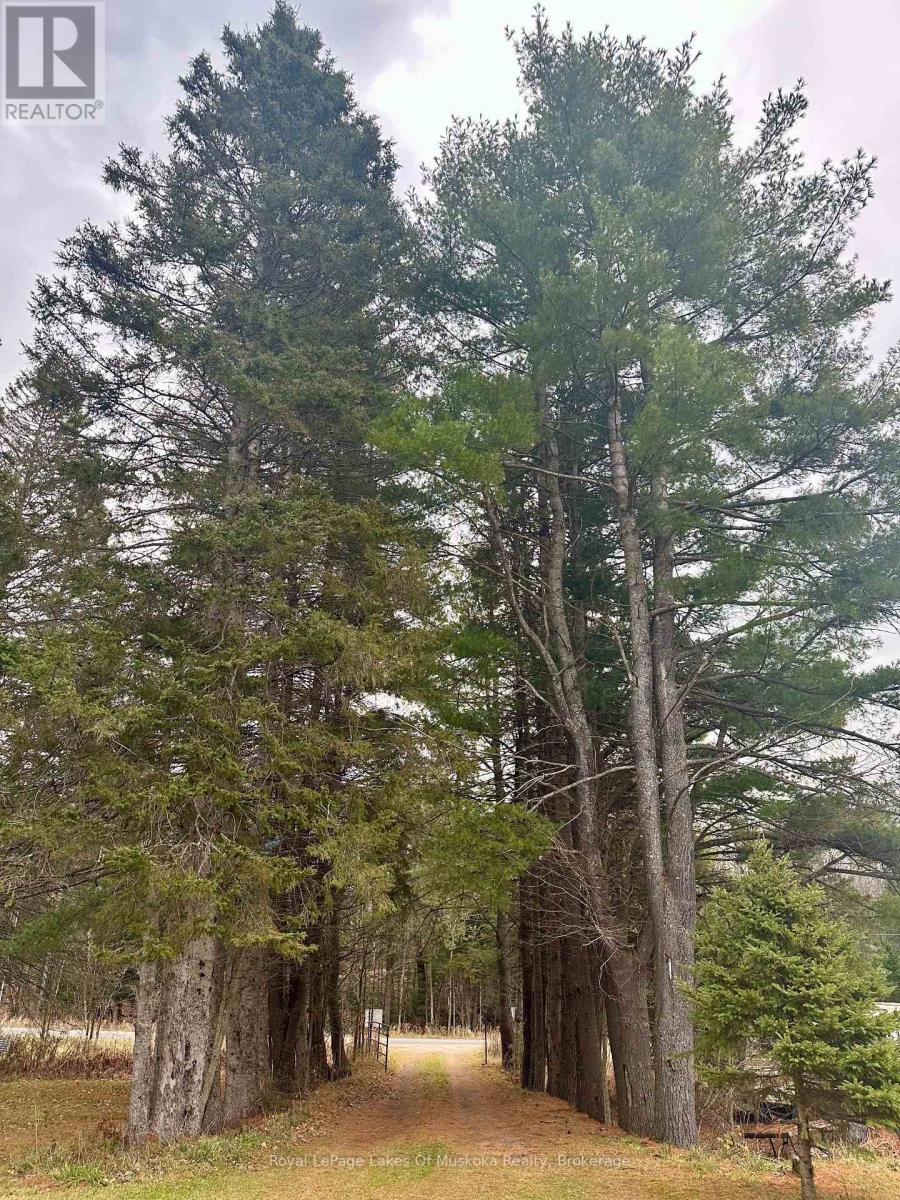 112 510 Highway, Magnetawan, Ontario  P0A 1P0 - Photo 25 - X12169339