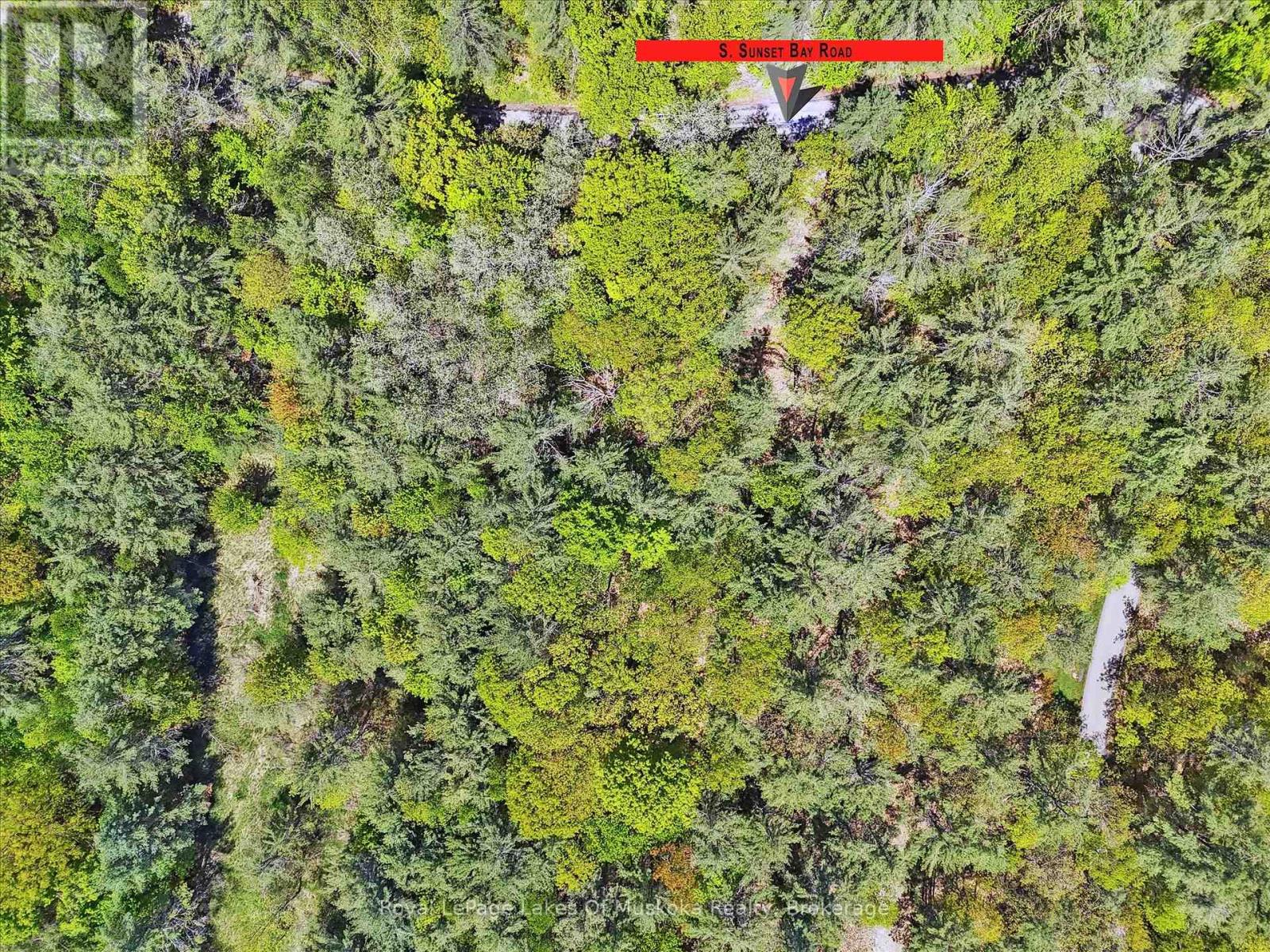 N/a Sunset Bay Road, Gravenhurst, Ontario  P1P 1R2 - Photo 21 - X12169419