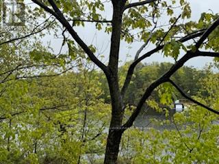 N/a Sunset Bay Road, Gravenhurst, Ontario  P1P 1R2 - Photo 9 - X12169419