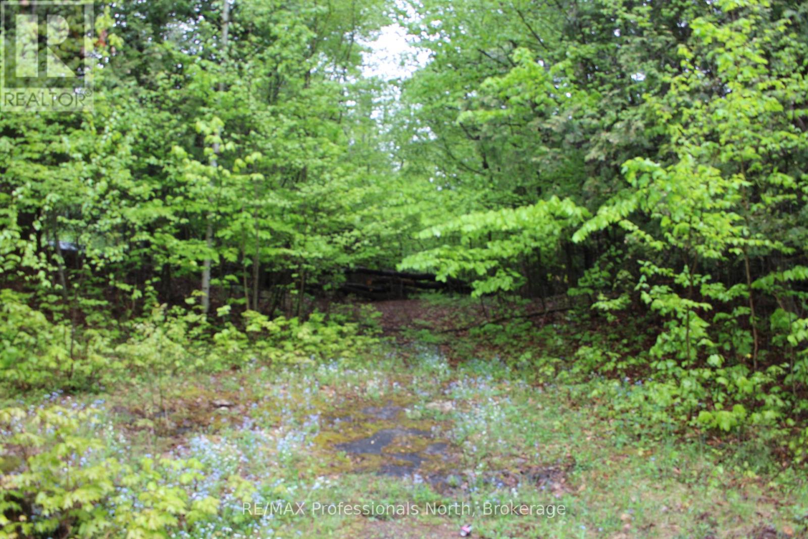 0 Kashagawigamog Lake Road E, Minden Hills, Ontario  K0M 2K0 - Photo 4 - X12170267