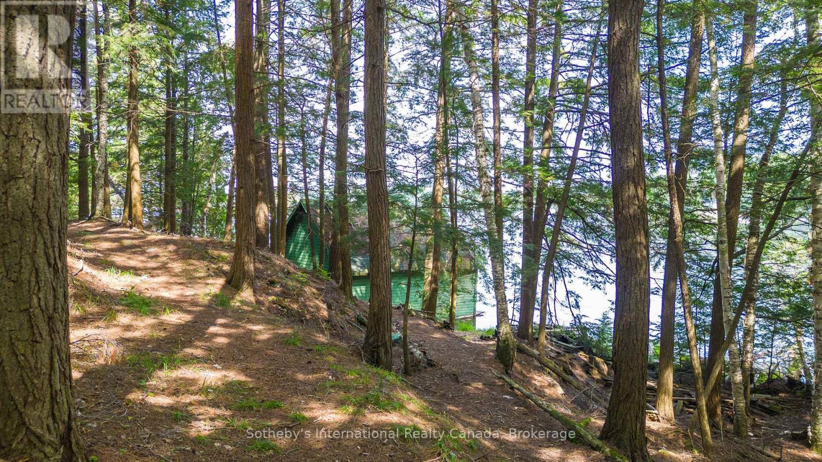 8 - 1124 Coate Road, Muskoka Lakes, Ontario  P0C 1J0 - Photo 21 - X12170817