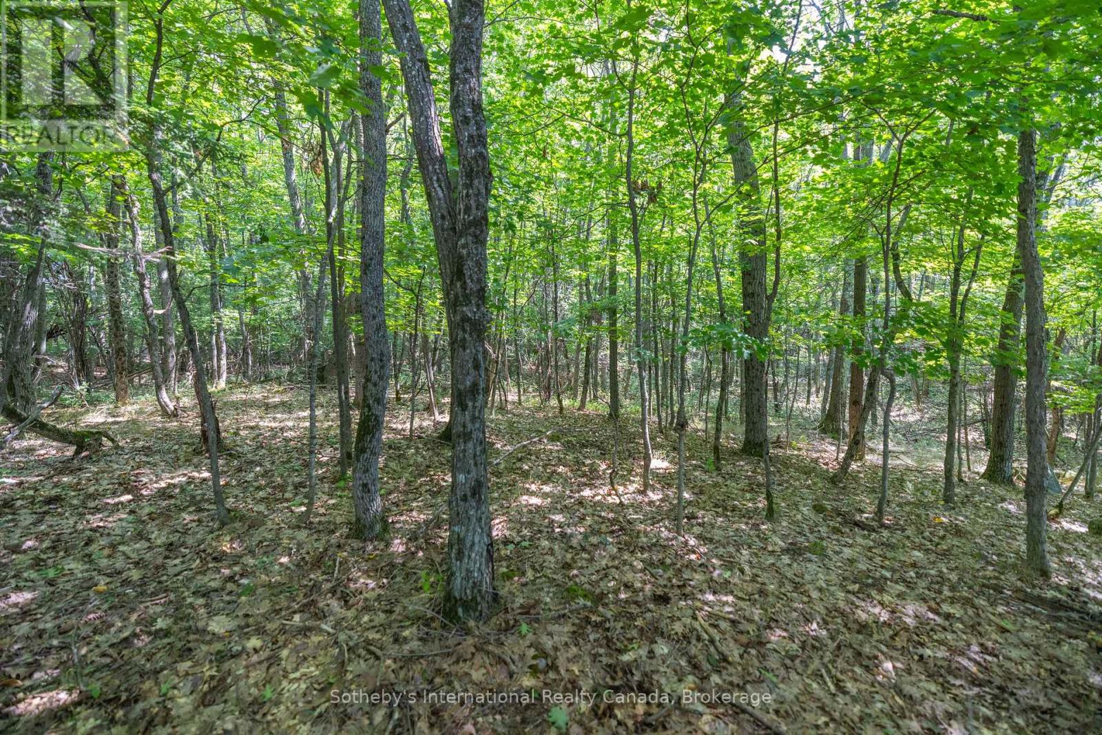 8 - 1124 Coate Road, Muskoka Lakes, Ontario  P0C 1J0 - Photo 27 - X12170817