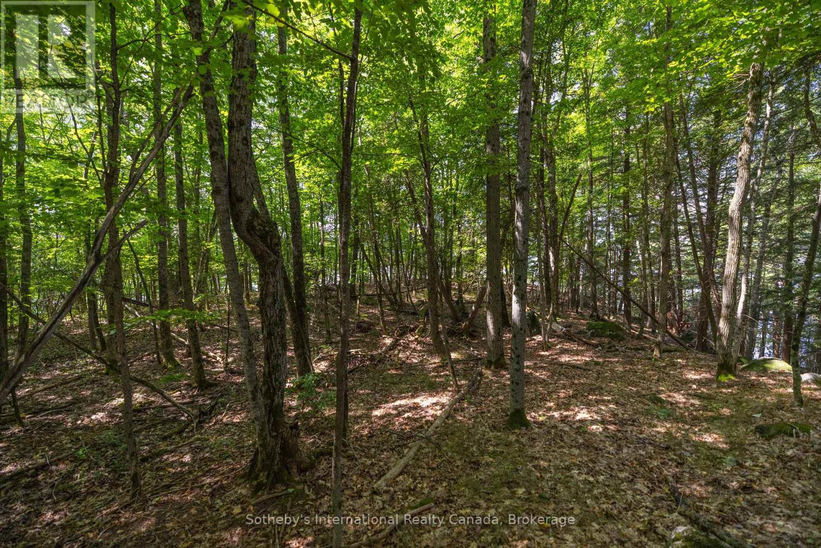 8 - 1124 Coate Road, Muskoka Lakes, Ontario  P0C 1J0 - Photo 29 - X12170817