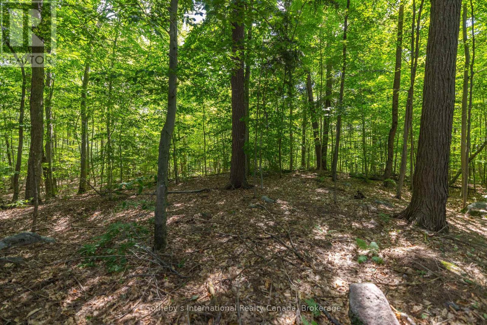 8 - 1124 Coate Road, Muskoka Lakes, Ontario  P0C 1J0 - Photo 30 - X12170817