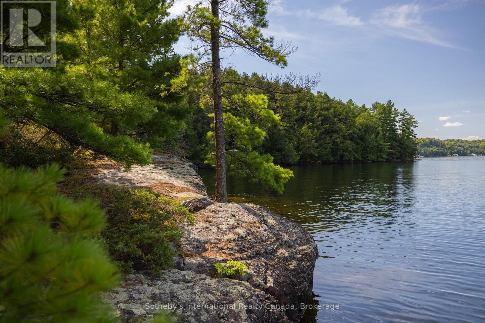 8 - 1124 Coate Road, Muskoka Lakes, Ontario  P0C 1J0 - Photo 5 - X12170817