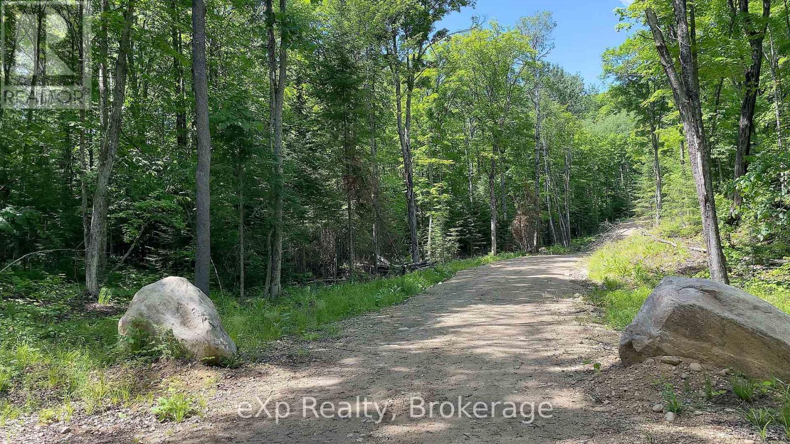 Lot # 4 Gonnsen Trail, Dysart Et Al, Ontario  K0M 1S0 - Photo 10 - X12171671