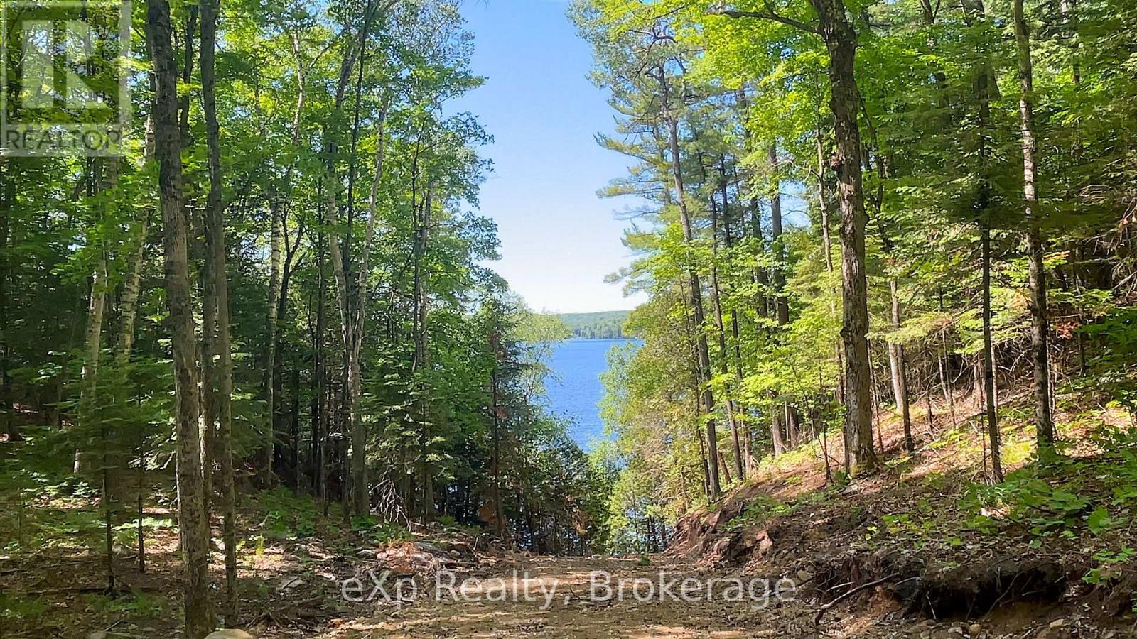 Lot # 4 Gonnsen Trail, Dysart Et Al, Ontario  K0M 1S0 - Photo 12 - X12171671