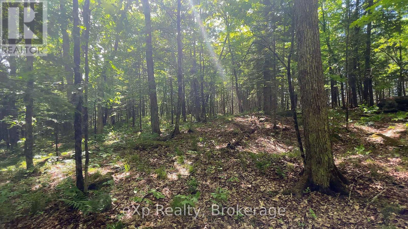 Lot # 4 Gonnsen Trail, Dysart Et Al, Ontario  K0M 1S0 - Photo 13 - X12171671