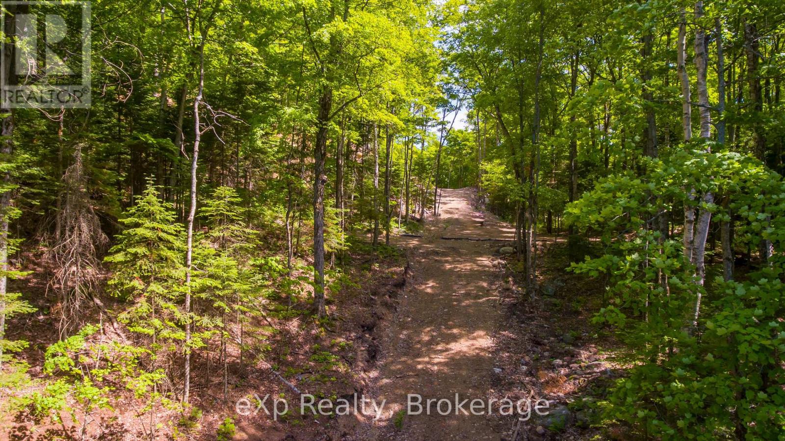 Lot # 4 Gonnsen Trail, Dysart Et Al, Ontario  K0M 1S0 - Photo 3 - X12171671